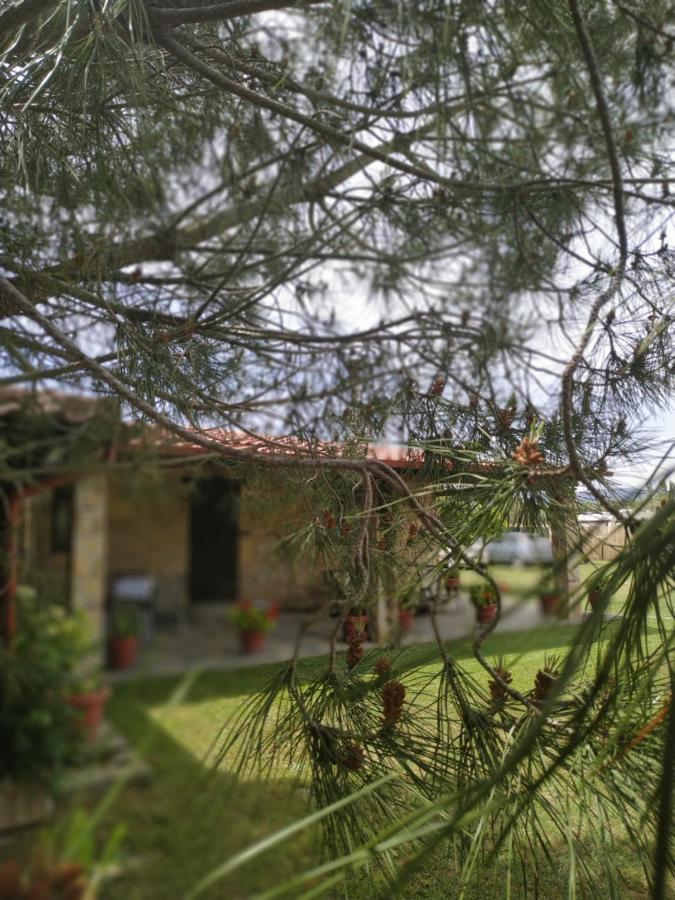 Konaki Guesthouse Ormos Panagias Exterior foto